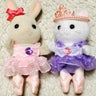 Swan lakeのプロフィール