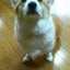 とととのサムネイル