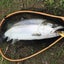 tenson.korinのサムネイル