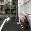 傳田　寅勝のサムネイル