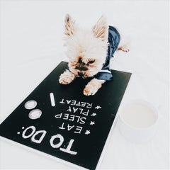 momoのプロフィール