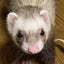 =　加ﾄ😎　blog　 =　（かろと　ぶろぐ）のサムネイル