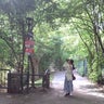 ホイミのプロフィール