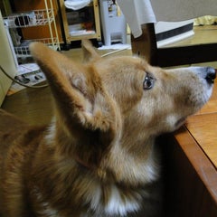 ケンじいさんのプロフィール