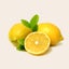 🍋Lemon＠9歳と4歳の2人育児記録のサムネイル