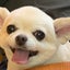 Machiのサムネイル
