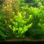aohire323のサムネイル