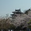 画像 長坂総研のブログのユーザープロフィール画像