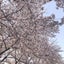 hii-2020のサムネイル