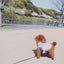 画像 愛犬COCOと私の旅行や日常(. ❛ ᴗ ❛.)のユーザープロフィール画像