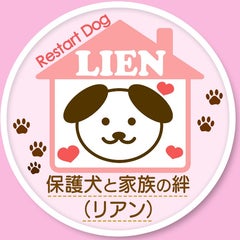 ｒｅｓｔａｒｔｄｏｇ　ＬＩＥＮ(リアン)のプロフィール