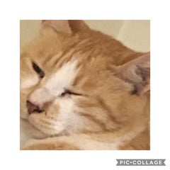 nanaのプロフィール