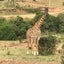 teht4nakayoshiのサムネイル
