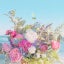 ふんchanのサムネイル