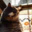 ねことの暮らしのサムネイル