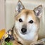 「びワンコ県」ナッツのサムネイル