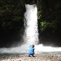 kurage2019のプロフィール