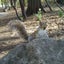 ミラベルのサムネイル