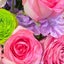 花好きの花さんのサムネイル