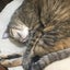 jennyのサムネイル