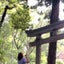 沙樹(Saju)のサムネイル