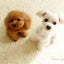 くぅーちゃん☆のサムネイル