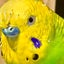 100均から始まる異世界生活のサムネイル