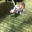 ウニろーのサムネイル