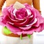 画像 magnolia-artのブログのユーザープロフィール画像