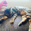 じるのサムネイル