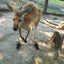 紫織のサムネイル
