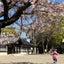 maemukini-mama30のサムネイル
