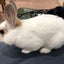 monmonmonoraのサムネイル