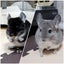 ゆぅ＆みぃのサムネイル