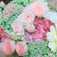 rinrinskinのサムネイル