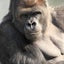 mのサムネイル