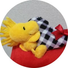 三足のわらじを地で行く⭐うさぎのプロフィール