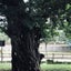R creativeのサムネイル