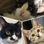 あおちのサムネイル