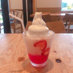 ひふみよのプロフィール