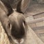 ひろのサムネイル
