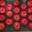 画像 りんごちゃんのHAPPY気学のユーザープロフィール画像