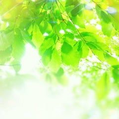 あつこのプロフィール
