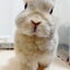 asasa0509のサムネイル