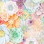 259のサムネイル