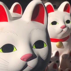 こんのプロフィール