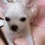 まりりんまりりんのサムネイル