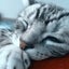あいのサムネイル