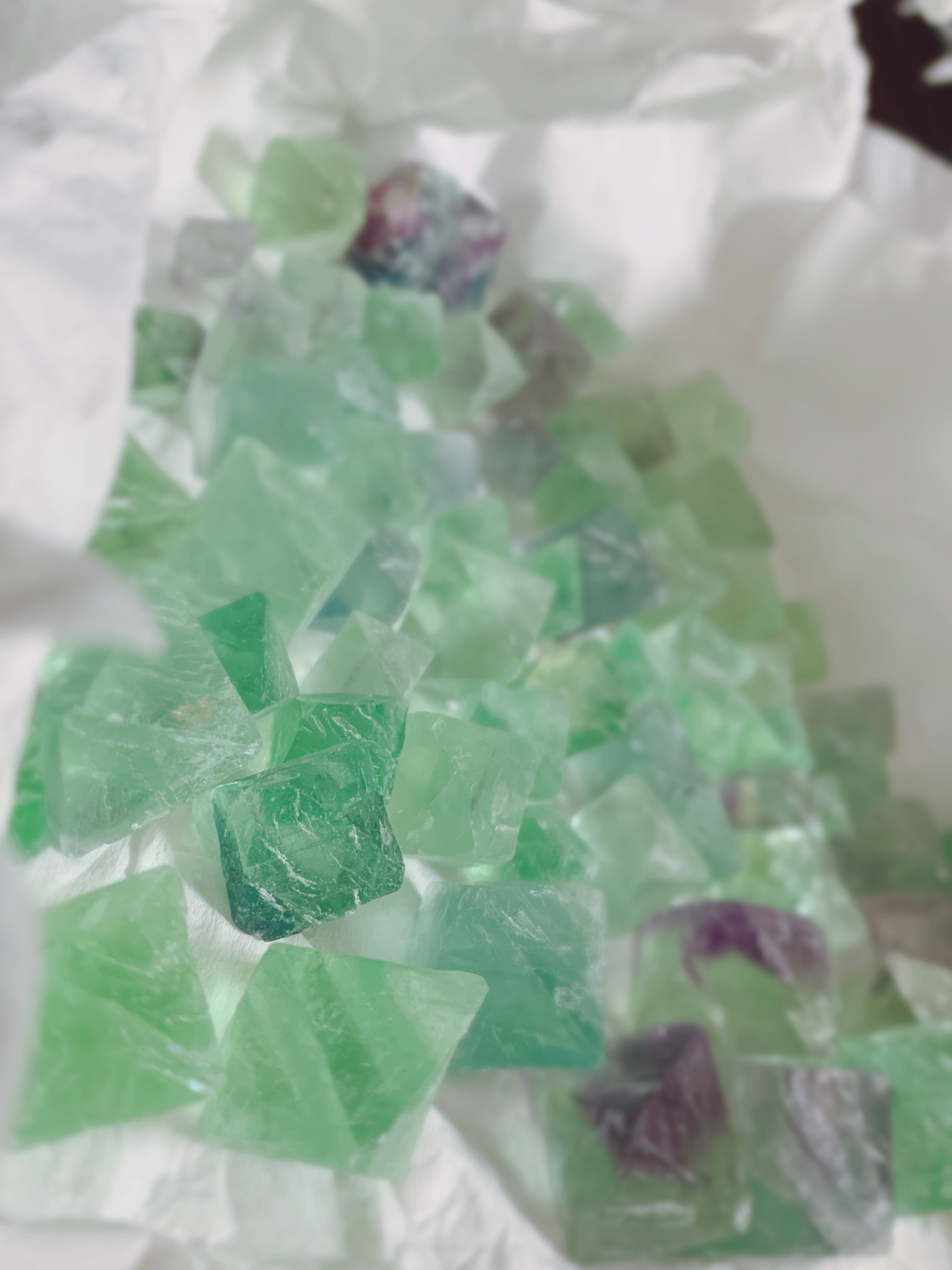 めっちゃ らぶ でゅおろじー 南律紀編 セット ししゃも venerdi めっちゃ らぶ でゅおろじー 南律紀編 - メルカリ