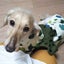 画像 ワンコと娘と時々夫。。。のユーザープロフィール画像